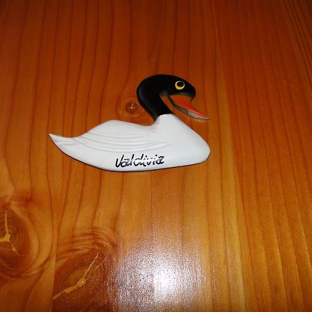 Ferienwohnung Cabanas Cisne Cuello Negro Valdivia Exterior foto